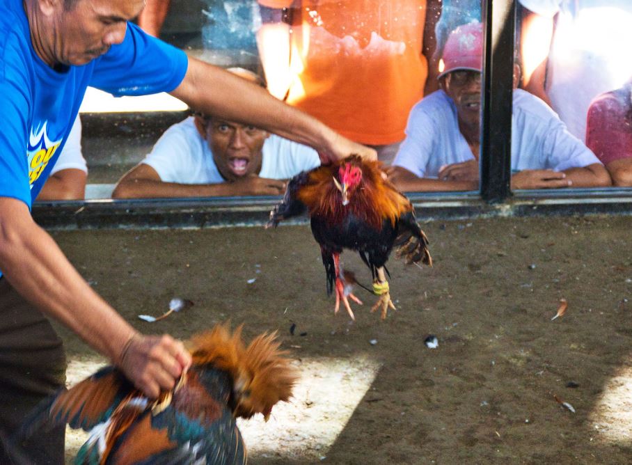 Giải Quyết Vấn Đề Nâng Cao & Lời Khuyên