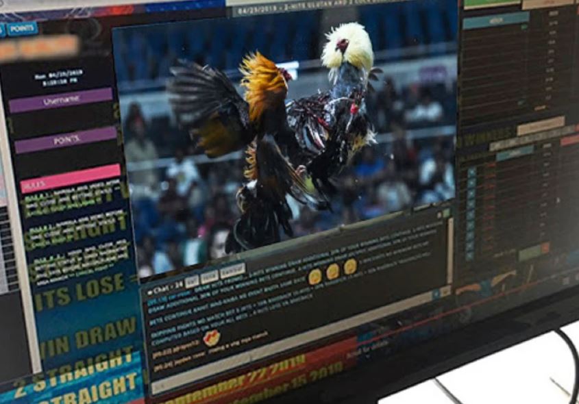 [CÔNG THỨC CHÍNH] - Hướng Dẫn Trộn Thức Ăn Chi Tiết Từ A-Z