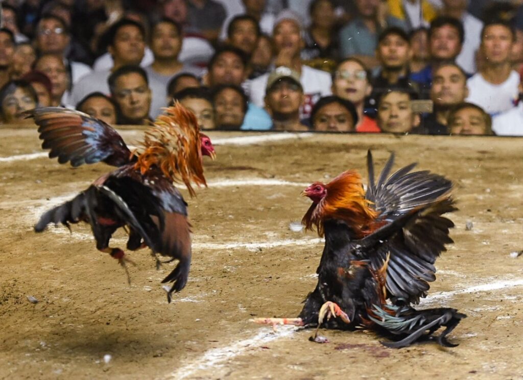 Chế Độ Dinh Dưỡng: Ăn Gì Để Sung Mà Không Mập?