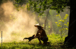 Cách Nuôi Gà Không Bị Bệnh: Cẩm Nang A-Z Cho Người Mới Bắt Đầu