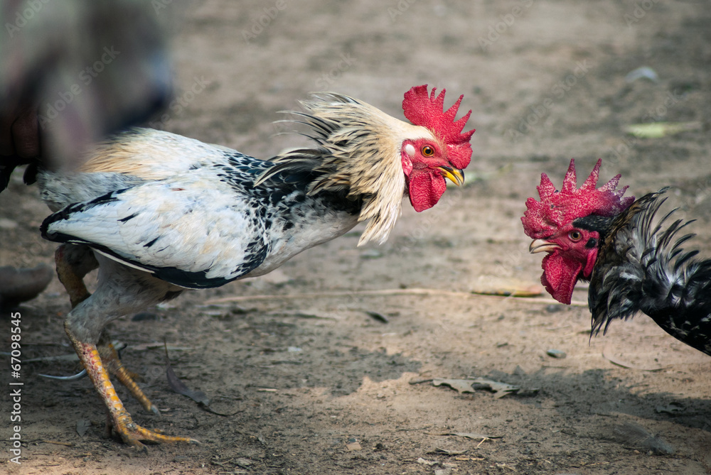 Chế Độ Luyện Tập & Om Bóp (Kỹ Thuật Cốt Lõi)