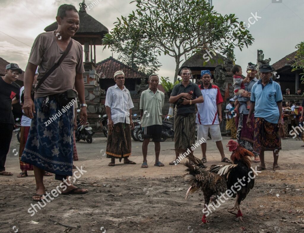 Cách vệ sinh và thiết kế chuồng trại để bảo vệ sức khỏe gà yếu