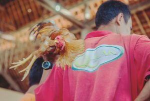 Kỹ thuật om gà bằng rượu nghệ đúng cách cho anh em mới vào nghề