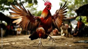 Chế Độ Dinh Dưỡng: Ăn Gì Để "Sung" Tới Phút 90?