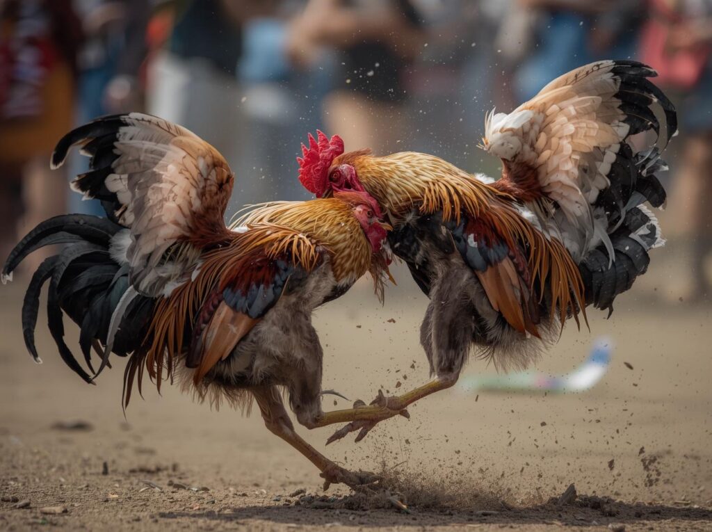 Tầm quan trọng của việc chọn đúng thời điểm thử chân